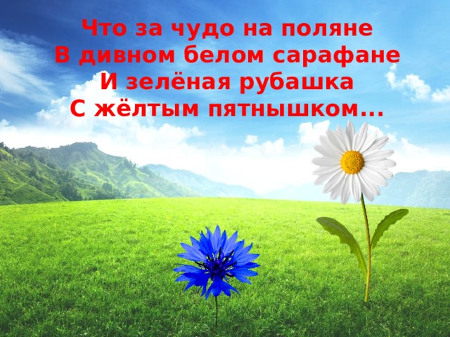 Что за чудо на поляне  В дивном белом сарафане  И зелёная рубашка  С жёлтым пятнышком...