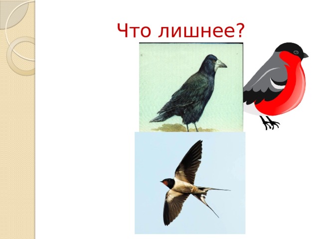 Что лишнее?