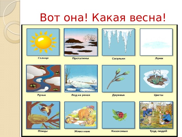 Вот она! Какая весна!