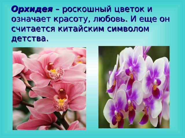 Орхидея – роскошный цветок и означает красоту, любовь. И еще он считается китайским символом детства.