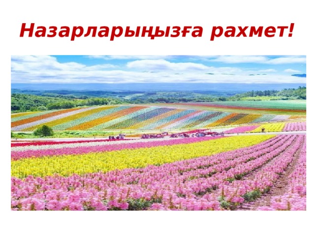 Назарларыңызға рахмет!