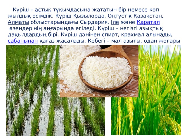 Күріш –  астық  тұқымдасына жататын бір немесе көп жылдық өсімдік. Күріш Қызылорда, Оңтүстік Қазақстан,  Алматы  облыстарындағы Сырдария,  Іле  және  Қаратал  өзендерінің аңғарында егіледі. Күріш – негізгі азықтық дақылдардың бірі. Күріш дәнінен спирт, крахмал алынады,   сабанынан  қағаз жасалады. Кебегі – мал азығы, одан жоғары сапалы май алуға болады.