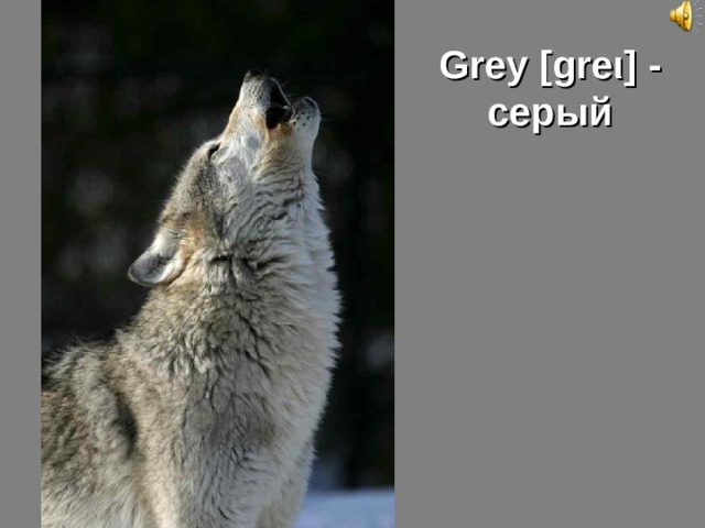 Grey [gre ι ] - серый