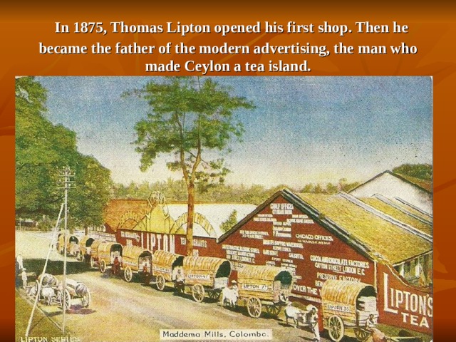 In 1875, Thomas Lipton opened his first shop. Then he became the father of the modern advertising, the man who made Ceylon a tea island.