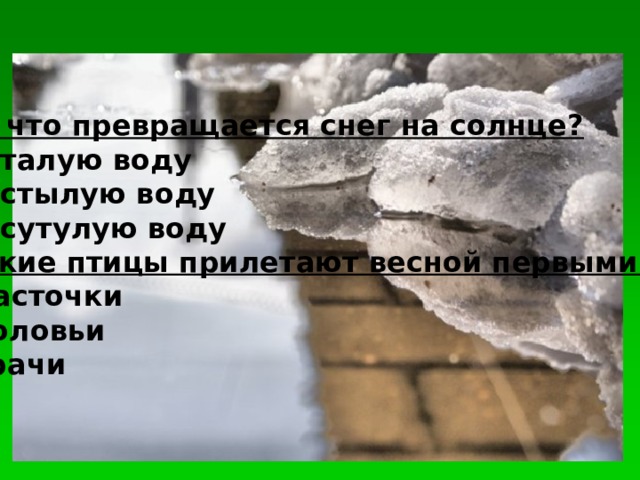 Во что превращается снег на солнце? В талую воду В стылую воду В сутулую воду Какие птицы прилетают весной первыми?