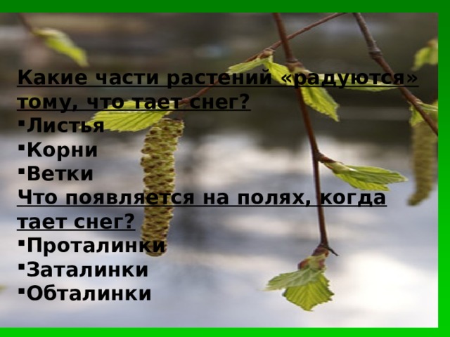 Какие части растений «радуются» тому, что тает снег? Листья Корни Ветки Что появляется на полях, когда тает снег?