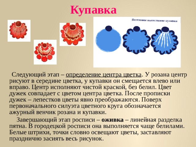 Купавка    Следующий этап – определение центра цветка . У розана центр рисуют в середине цветка, у купавки он смещается влево или вправо. Центр исполняют чистой краской, без белил. Цвет дужек совпадает с цветом центра цветка. После прописки дужек – лепестков цветы явно преображаются. Поверх первоначального силуэта цветного круга обозначается ажурный венчик розана и купавки.  Завершающий этап росписи – оживка – линейная разделка пятна. В городецкой росписи она выполняется чаще белилами. Белые штрихи, точки словно освещают цветы, заставляют празднично засиять весь рисунок.