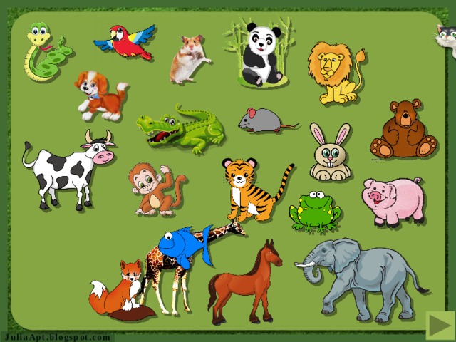 Is it a wild animal? Is it a domestic animal? Is it small? Is it big? Does it live at home? Does it live on a farm? http:// gallery.yopriceville.com/var/albums/Free-Clipart-Pictures/Animals-PNG/Transparent_Horse_PNG_Clipart.png?m=1382914800  Does it eat meat? Has it got a short tail? Has it got a long tail? Does it eat grass? Has it got big ears? Is it a horse? Has it got small ears?