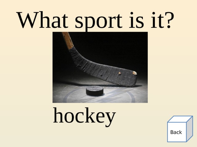 What sport is it? hockey Back