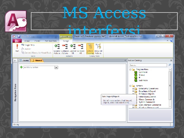 MS Access interfeysi