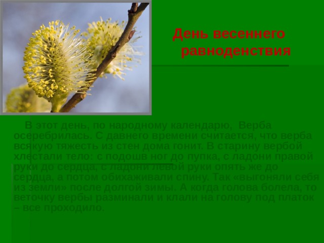 День весеннего  равноденствия   В этот день, по народному календарю, Верба осеребрилась. С давнего времени считается, что верба всякую тяжесть из стен дома гонит. В старину вербой хлестали тело: с подошв ног до пупка, с ладони правой руки до сердца, с ладони левой руки опять же до сердца, а потом обихаживали спину. Так «выгоняли себя из земли» после долгой зимы. А когда голова болела, то веточку вербы разминали и клали на голову под платок – все проходило .