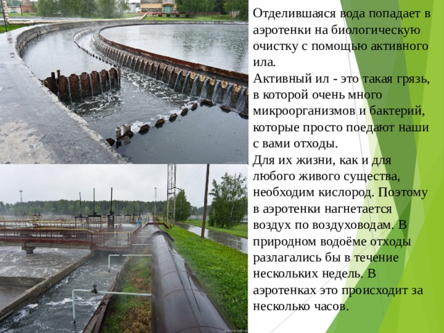 Отделившаяся вода попадает в аэротенки на биологическую очистку с помощью активного ила.  Активный ил - это такая грязь, в которой очень много микроорганизмов и бактерий, которые просто поедают наши с вами отходы.  Для их жизни, как и для любого живого существа, необходим кислород. Поэтому в аэротенки нагнетается воздух по воздуховодам. В природном водоёме отходы разлагались бы в течение нескольких недель. В аэротенках это происходит за несколько часов.