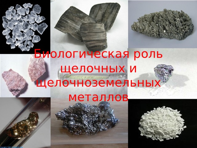 Биологическая роль щелочных и щелочноземельных металлов
