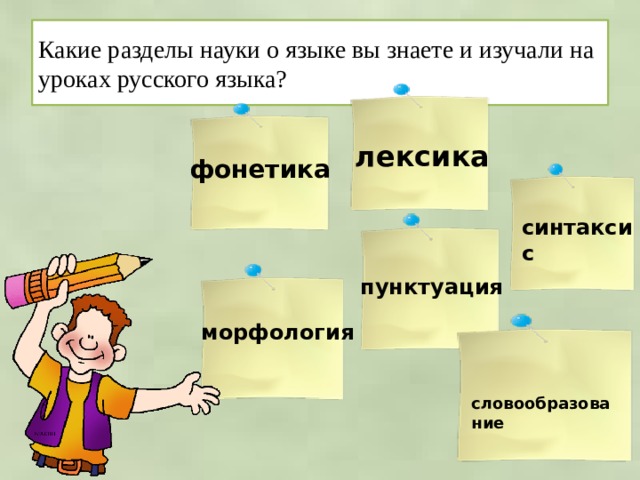 Какие разделы науки о языке вы знаете и изучали на уроках русского языка?   лексика фонетика синтаксис пунктуация морфология словообразование