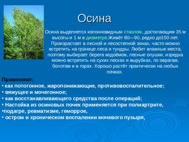 Осина выделяется колонновидным  стволом , достигающим 35 м высоты и 1 м в диаметре .Живёт 80—90, редко до150 лет. Произрастает в лесной и лесостепной зонах, часто можно встретить на границе леса и тундры. Любит влажные места, поэтому выбирает берега водоёмов, лесные опушки, изредка можно встретить на сухих песках и вырубках, по оврагам, болотам и в горах. Хорошо растёт практически на любых почвах. Применяют: