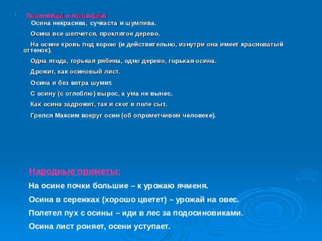      Пословицы и поговорки:         Осина некрасива, сучкаста и шумлива.        Осина все шепчется, проклятое дерево.       На осине кровь под корою (и действительно, изнутри она имеет красноватый оттенок).        Одна ягода, горькая рябина, одно дерево, горькая осина.        Дрожит, как осиновый лист.       Осина и без ветра шумит.        С осину (с оглоблю) вырос, а ума не вынес.       Как осина задрожит, так и скот в поле сыт.       Грелся Максим вокруг осин (об опрометчивом человеке).        Народные приметы: