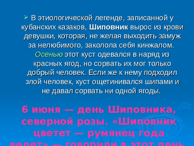 В этиологической легенде, записанной у кубанских казаков,  Шиповник  вырос из крови девушки, которая, не желая выходить замуж за нелюбимого, заколола себя кинжалом.  Осенью  этот куст одевался в наряд из красных ягод, но сорвать их мог только добрый человек. Если же к нему подходил злой человек, куст ощетинивался шипами и не давал сорвать ни одной ягоды.