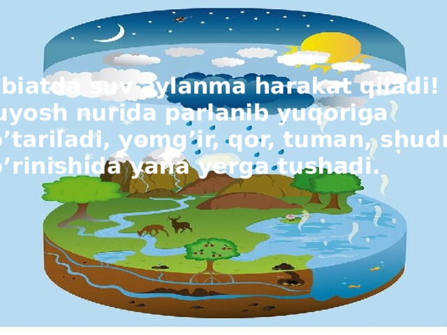 Tabiatda suv aylanma harakat qiladi! Quyosh nurida parlanib yuqoriga ko’tariladi, yomg’ir, qor, tuman, shudring ko’rinishida yana yerga tushadi.