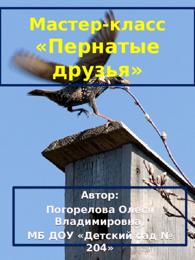 Мастер-класс  «Пернатые друзья» Автор: Погорелова Олеся Владимировна, МБ ДОУ «Детский сад № 204»