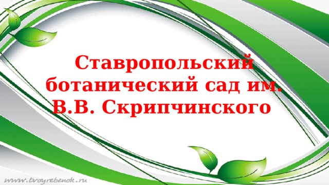 Ставропольский ботанический сад им. В.В. Скрипчинского