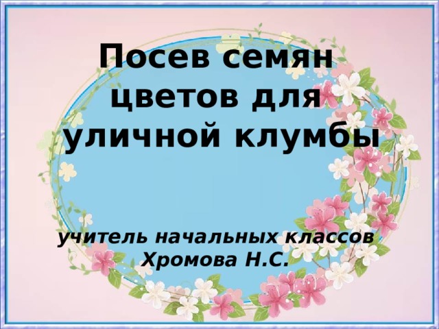 Посев семян цветов для  уличной клумбы    учитель начальных классов  Хромова Н.С.