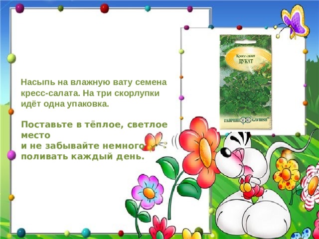 Насыпь на влажную вату семена кресс-салата. На три скорлупки идёт одна упаковка. Поставьте в тёплое, светлое место и не забывайте немного поливать каждый день.