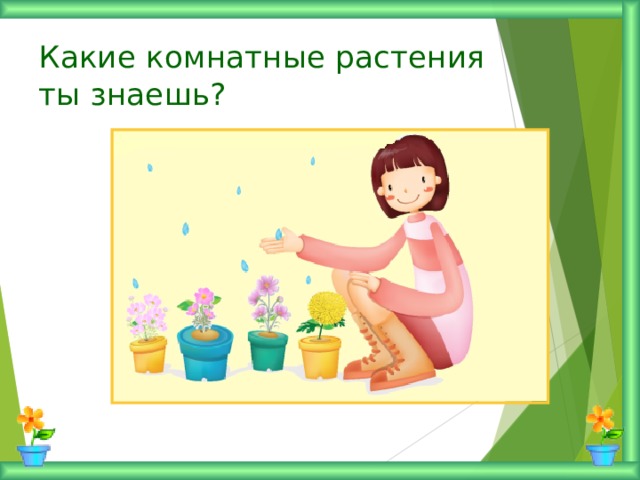 Какие комнатные растения  ты знаешь?