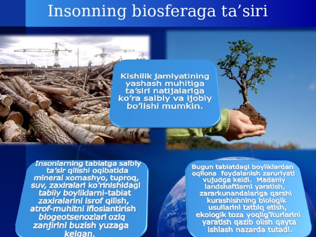 Insonning biosferaga ta’siri