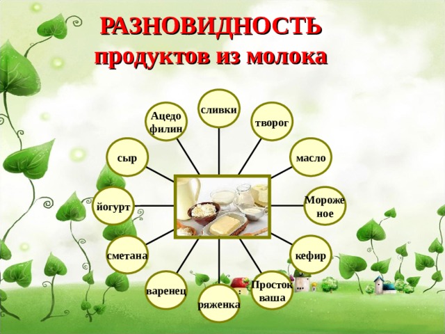 РАЗНОВИДНОСТЬ  продуктов из молока сливки творог Ацедо филин сыр масло йогурт Мороже ное  сметана кефир варенец Просток ваша ряженка