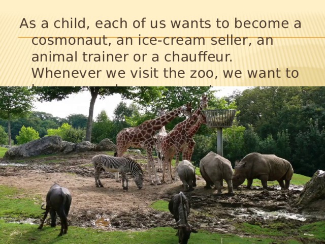 As a child, each of us wants to become a cosmonaut, an ice-cream seller, an animal trainer or a chauffeur. Whenever we visit the zoo, we want to become zookeepers or vets.