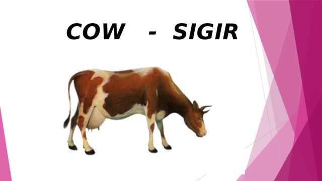 COW - SIGIR