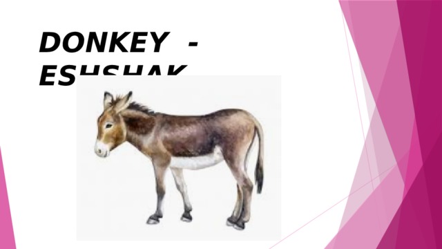 DONKEY - ESHSHAK