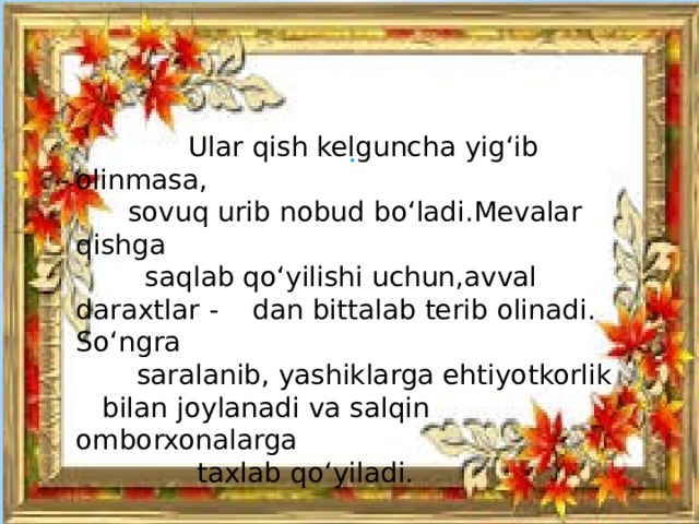 Ular qish kelguncha yig‘ib olinmasa,  sovuq urib nobud bo‘ladi.Mevalar qishga  saqlab qo‘yilishi uchun,avval daraxtlar - dan bittalab terib olinadi. So‘ngra  saralanib, yashiklarga ehtiyotkorlik  bilan joylanadi va salqin omborxonalarga  taxlab qo‘yiladi. .