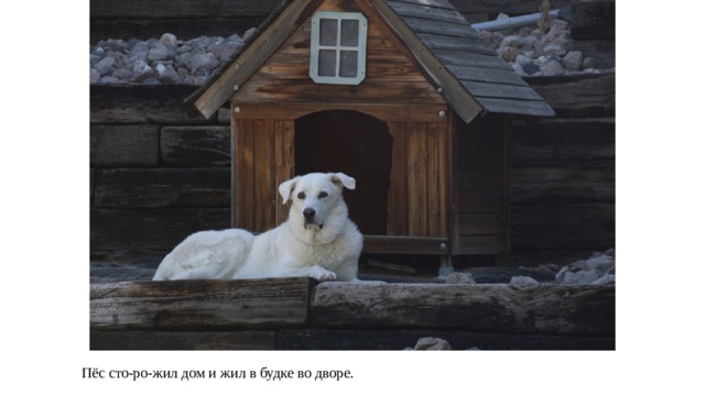 Пёс сто-ро-жил дом и жил в будке во дворе.