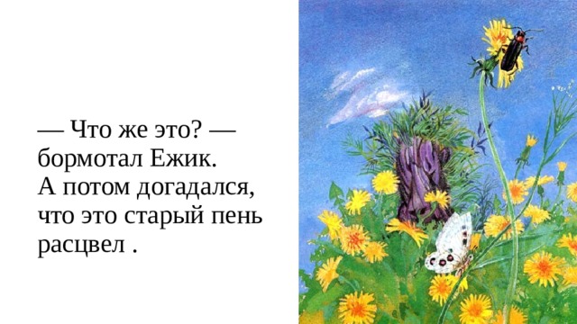 — Что же это? — бормотал Ежик.  А потом догадался, что это старый пень расцвел .