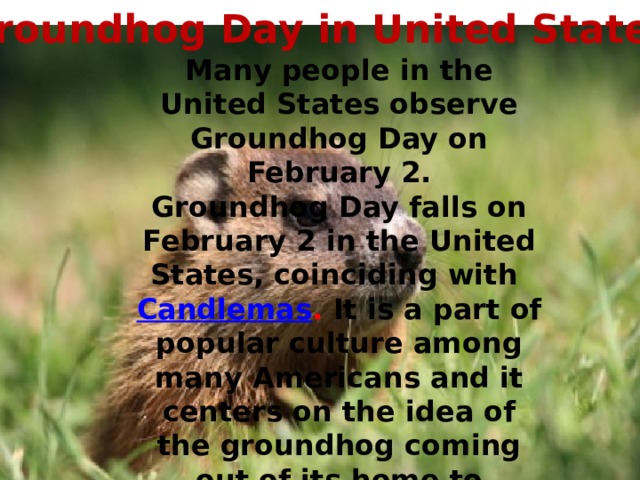 Groundhog Day in United States Many people in the United States observe Groundhog Day on February 2. Groundhog Day falls on February 2 in the United States, coinciding with Candlemas . It is a part of popular culture among many Americans and it centers on the idea of the groundhog coming out of its home to “predict” the weather.