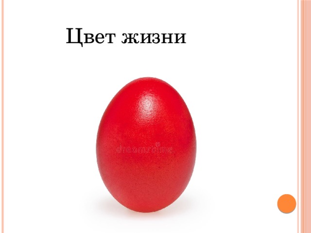 Цвет жизни