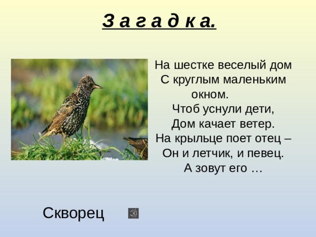 Где путь прямой там не езди по кривой презентация урока 3 класс родной язык презентация