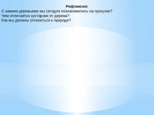 Рефлексия: С какими деревьями мы сегодня познакомились на прогулке? Чем отличается кустарник от дерева? Как мы должны относиться к природе?