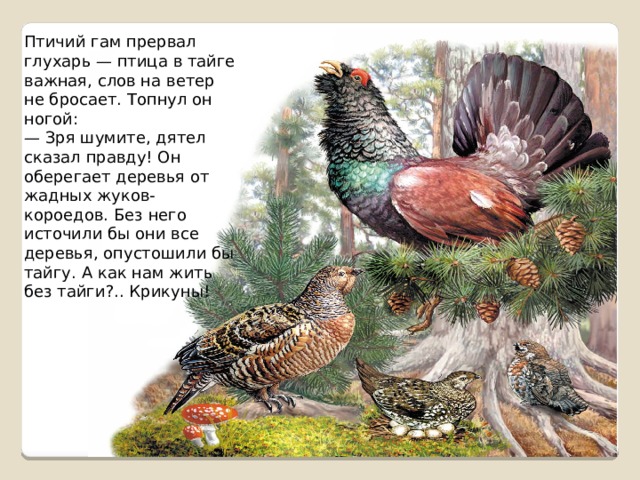 Птичий гам прервал глухарь — птица в тайге важная, слов на ветер не бросает. Топнул он ногой:  — Зря шумите, дятел сказал правду! Он оберегает деревья от жадных жуков-короедов. Без него источили бы они все деревья, опустошили бы тайгу. А как нам жить без тайги?.. Крикуны!