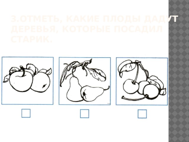 3.Отметь, какие плоды дадут деревья, которые посадил старик.