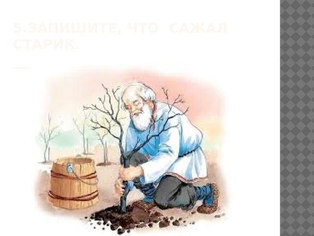 5.Запишите, ЧТО САЖАЛ СТАРИК.  ______________________________