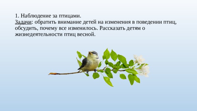 1. Наблюдение за птицами.  Задачи : обратить внимание детей на изменения в поведении птиц, обсудить, почему все изменилось. Рассказать детям о жизнедеятельности птиц весной.