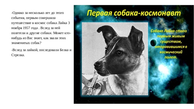 -Однако за несколько лет до этого события, первым совершила путешествие в космос собака Лайка 3 ноября 1957 года . Вслед за ней полетели и другие собаки. Может кто-нибудь из Вас знает, как звали этих знаменитых собак? -Вслед за лайкой, последовали Белка и Стрелка.