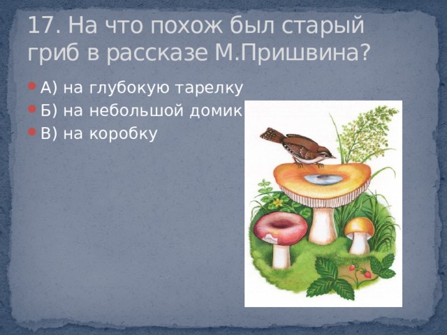 17. На что похож был старый гриб в рассказе М.Пришвина?