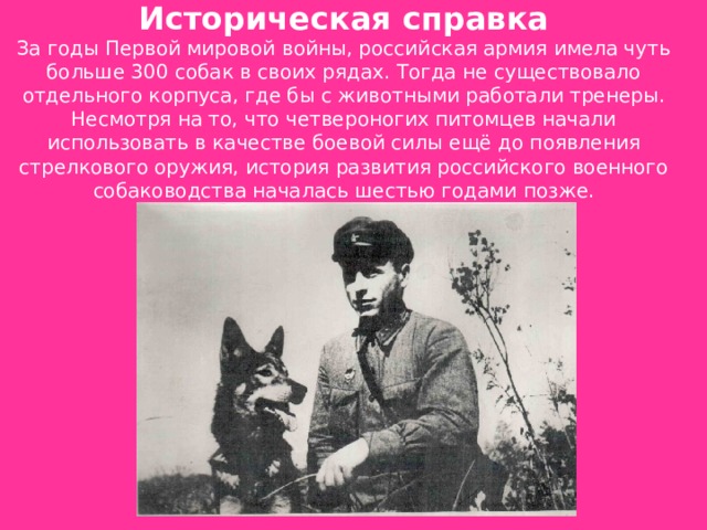 Историческая справка  За годы Первой мировой войны, российская армия имела чуть больше 300 собак в своих рядах. Тогда не существовало отдельного корпуса, где бы с животными работали тренеры. Несмотря на то, что четвероногих питомцев начали использовать в качестве боевой силы ещё до появления стрелкового оружия, история развития российского военного собаководства началась шестью годами позже.