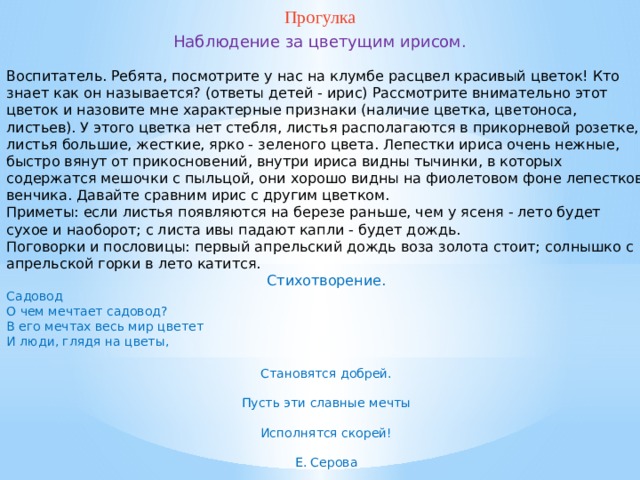 Прогулка Наблюдение за цветущим ирисом. Воспитатель. Ребята, посмотрите у нас на клумбе расцвел красивый цветок! Кто знает как он называется? (ответы детей - ирис) Рассмотрите внимательно этот цветок и назовите мне характерные признаки (наличие цветка, цветоноса, листьев). У этого цветка нет стебля, листья располагаются в прикорневой розетке, листья большие, жесткие, ярко - зеленого цвета. Лепестки ириса очень нежные, быстро вянут от прикосновений, внутри ириса видны тычинки, в которых содержатся мешочки с пыльцой, они хорошо видны на фиолетовом фоне лепестков венчика. Давайте сравним ирис с другим цветком. Приметы: если листья появляются на березе раньше, чем у ясеня - лето будет сухое и наоборот; с листа ивы падают капли - будет дождь. Поговорки и пословицы: первый апрельский дождь воза золота стоит; солнышко с апрельской горки в лето катится. Стихотворение. Садовод О чем мечтает садовод? В его мечтах весь мир цветет И люди, глядя на цветы, Становятся добрей. Пусть эти славные мечты Исполнятся скорей! Е. Серова