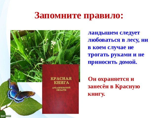 Презентация красная книга ландыш