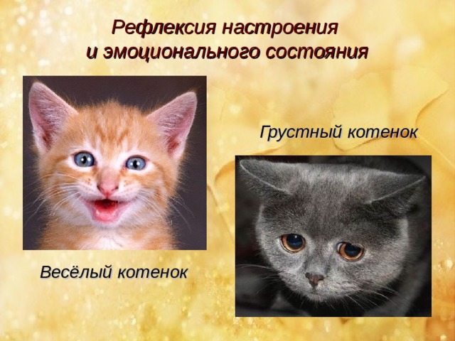 Рефлексия настроения  и эмоционального состояния Грустный котенок Весёлый котенок