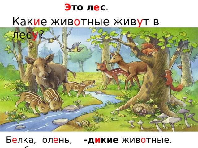 Э то л е с . Как и е  жив о тные жив у т в лес у ? -д и кие жив о тные. Б е лка, ол е нь, каб а н